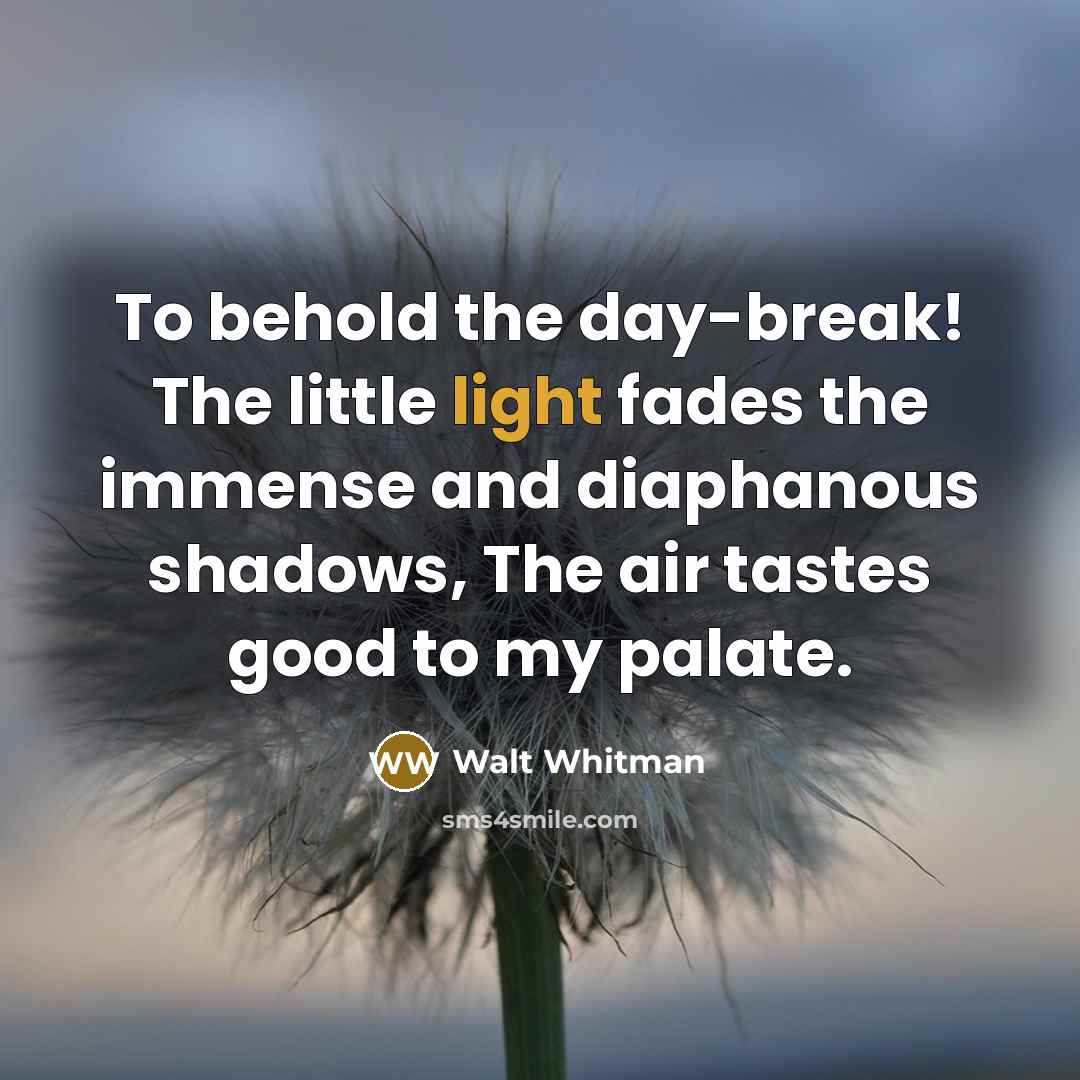 “To behold the day-break! The little light fades the immense…” quote by Walt Whitman