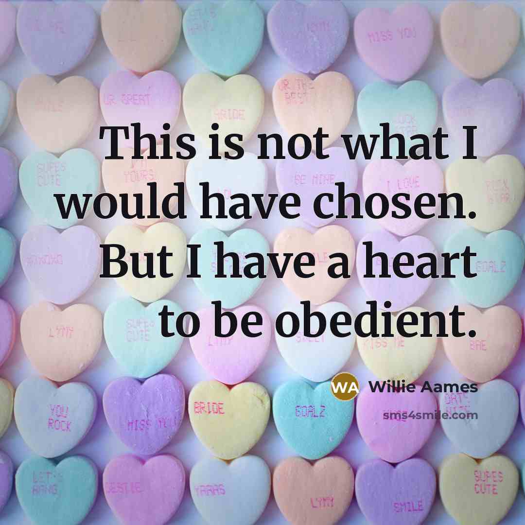 “This is not what I would have chosen. But I…” quote by Willie Aames