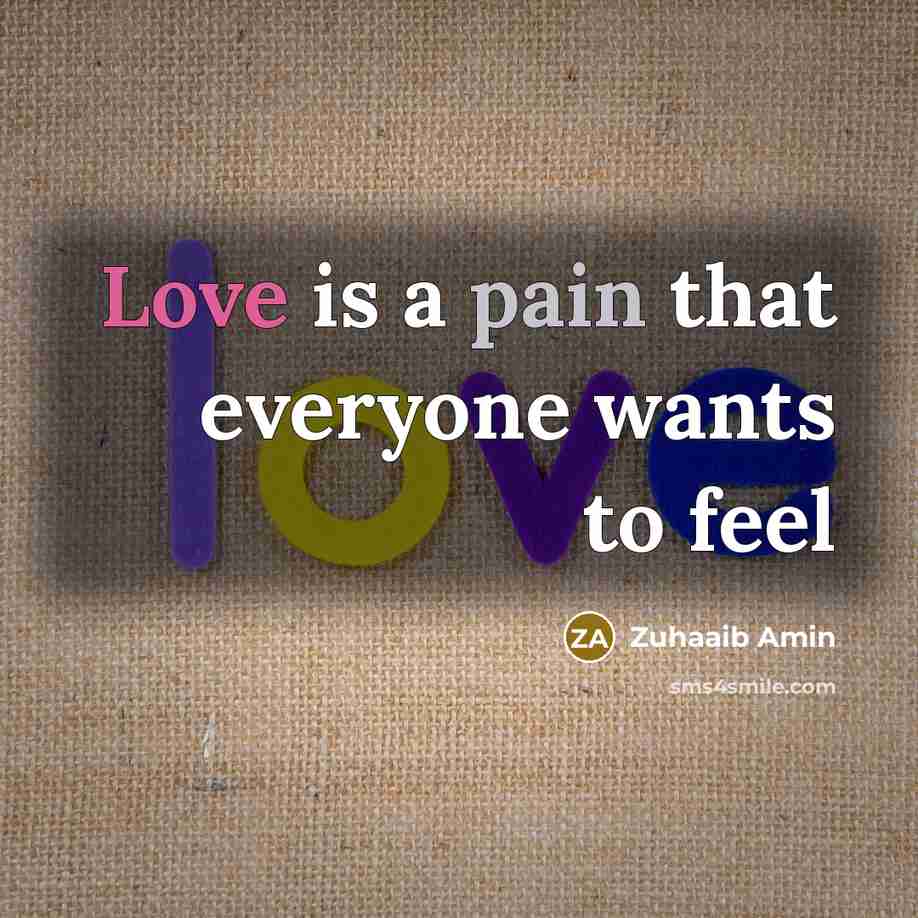 “Love is a pain that everyone wants to feel” quote by Zuhaaib Amin