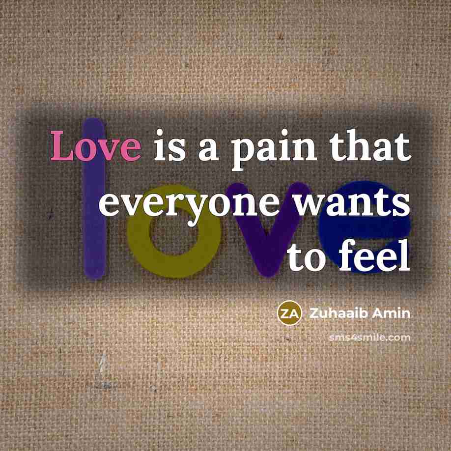 “Love is a pain that everyone wants to feel” quote by Zuhaaib Amin
