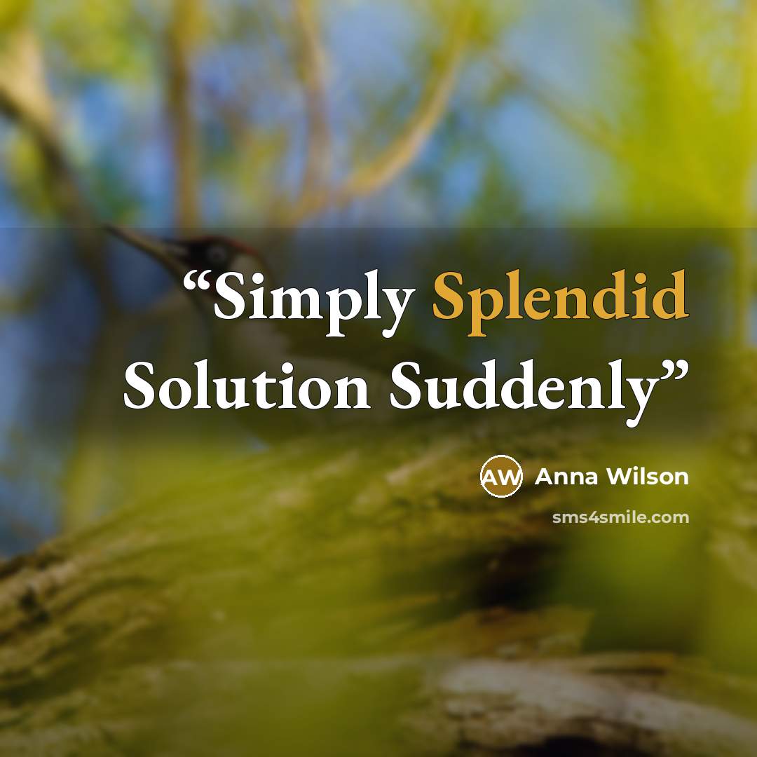 “Simply Splendid Solution Suddenly” quote by Anna Wilson
