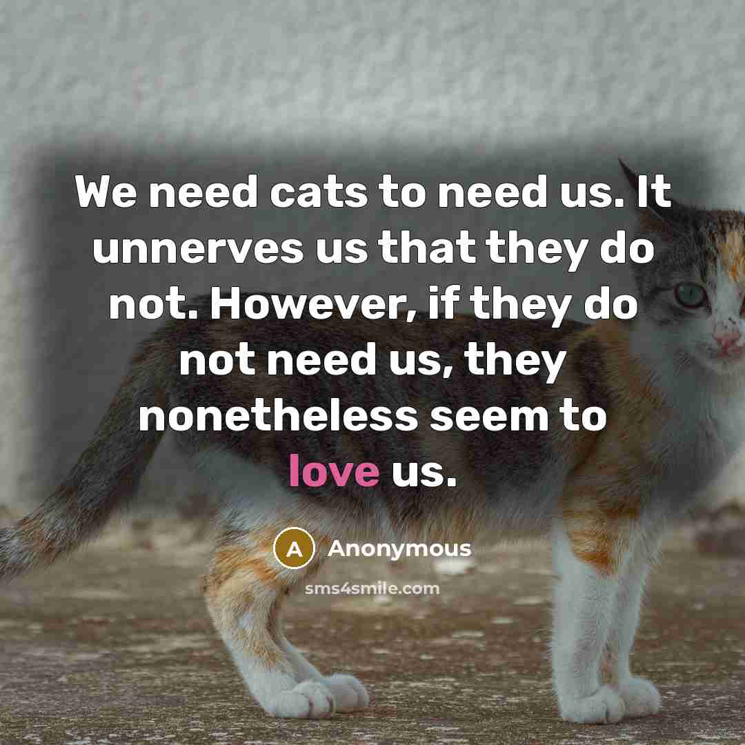 “We need cats to need us. It unnerves us that…” quote by Anonymous