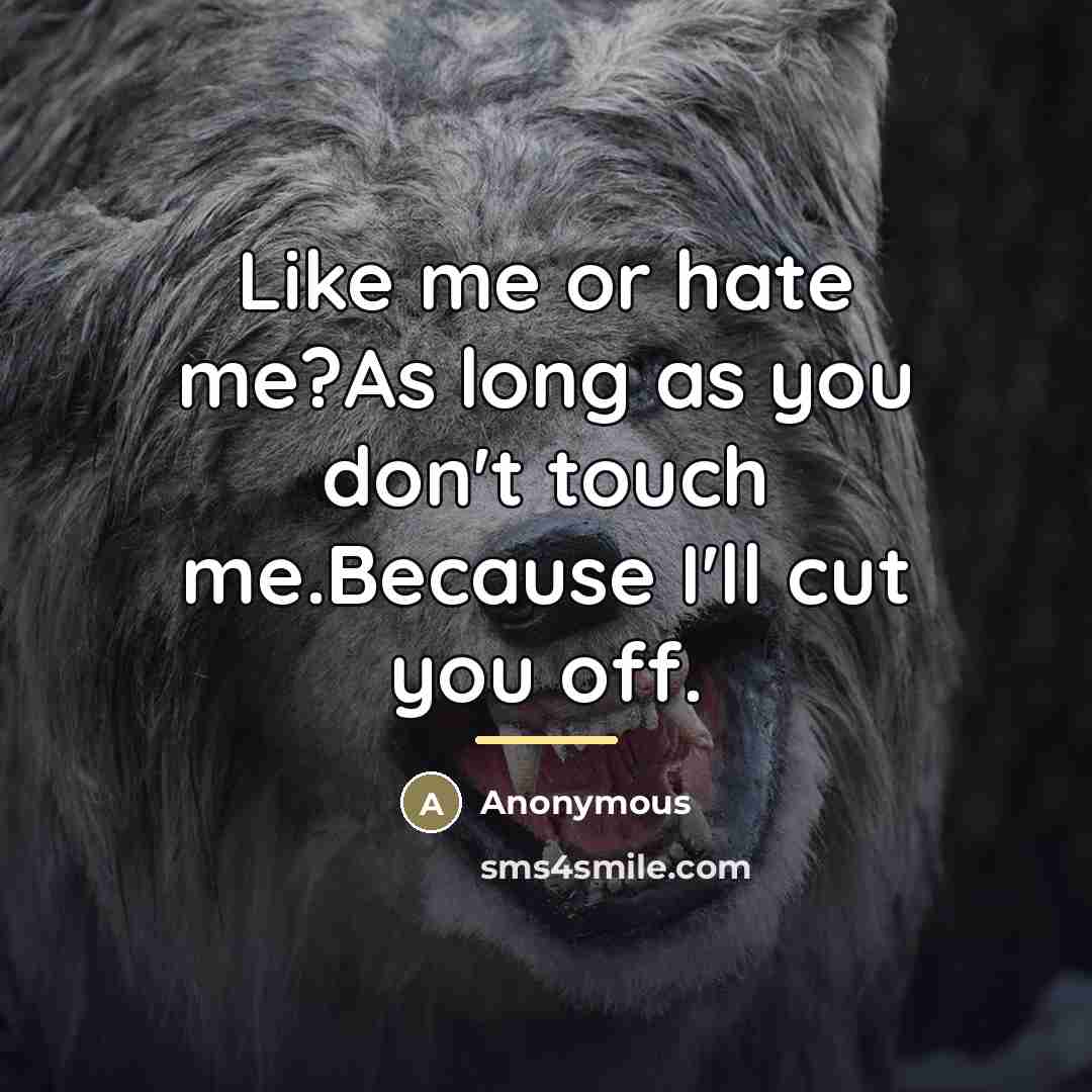 “Like me or hate me?As long as you don't touch…” quote by Anonymous