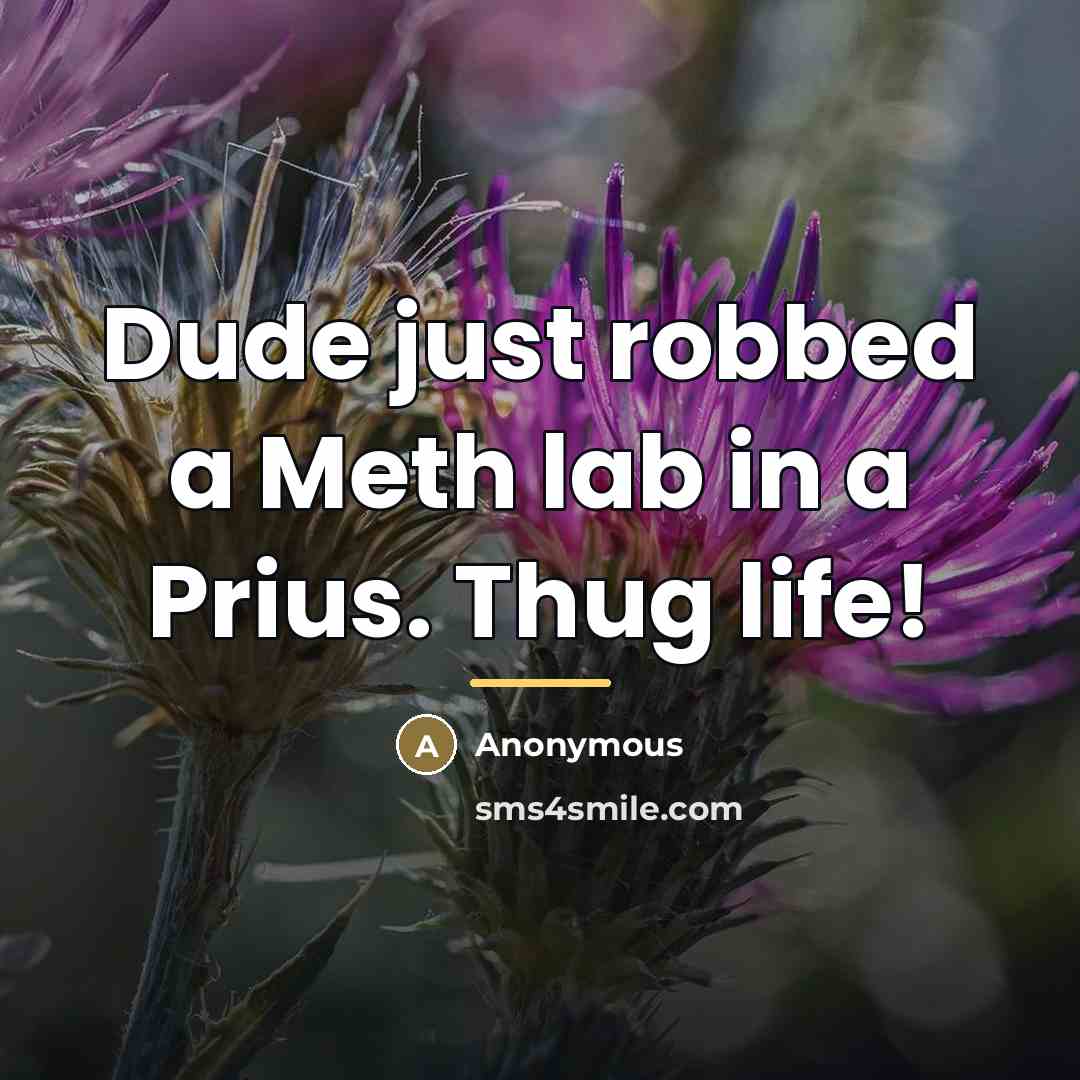 “Dude just robbed a Meth lab in a Prius. Thug…” quote by Anonymous
