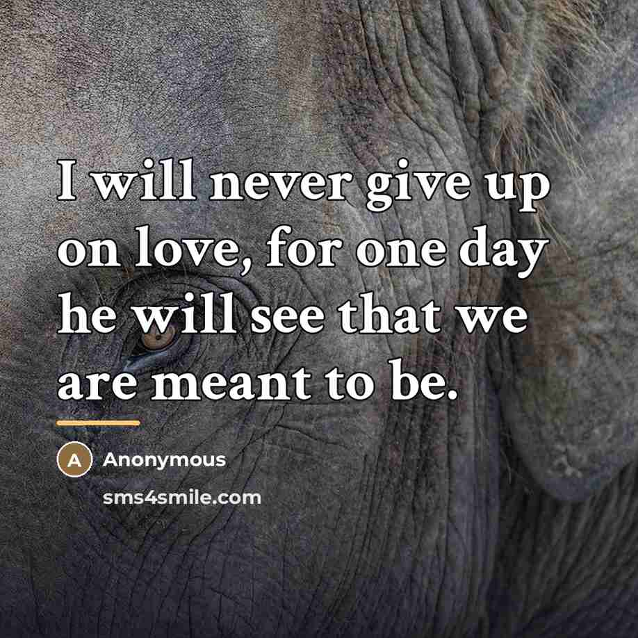 “I will never give up on love, for one day…” quote by Anonymous