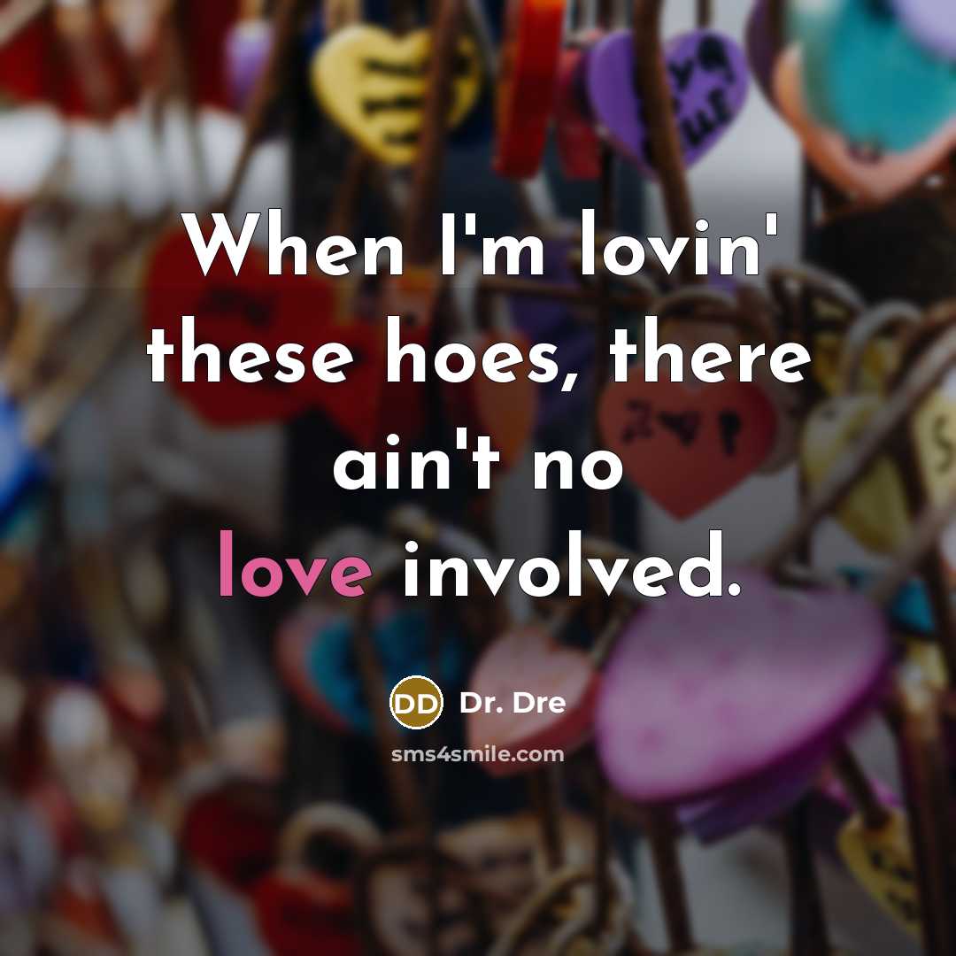 “When I'm lovin' these hoes, there ain't no love involved.…” quote by Dr. Dre