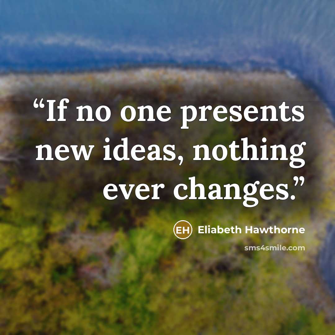 “If no one presents new ideas, nothing ever changes.” quote by Eliabeth Hawthorne