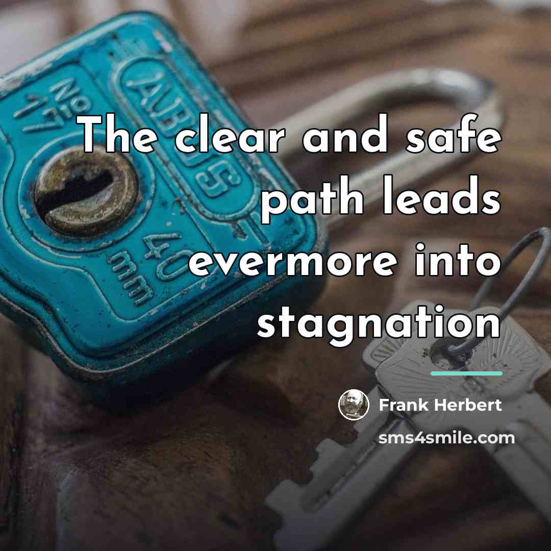 “The clear and safe path leads evermore into stagnation…” quote by Frank Herbert