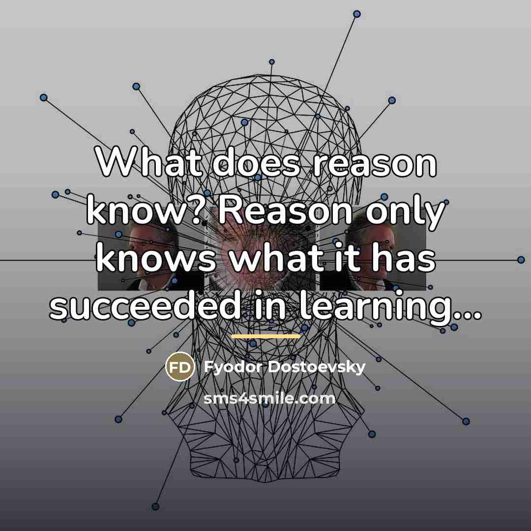 “What does reason know? Reason only knows what it has…” quote by Fyodor Dostoevsky