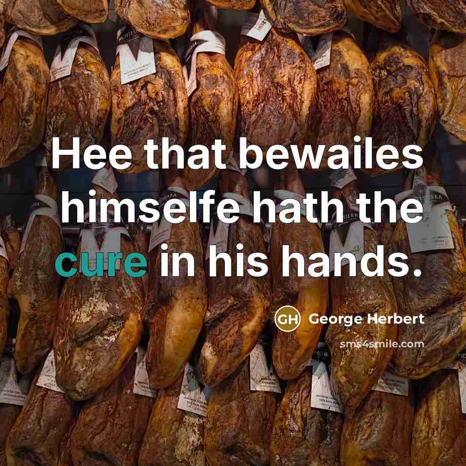 “Hee that bewailes himselfe hath the cure in his hands.” quote by George Herbert
