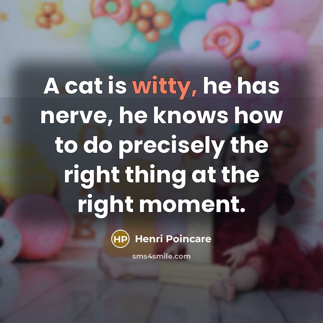 “A cat is witty, he has nerve, he knows how…” quote by Henri Poincare