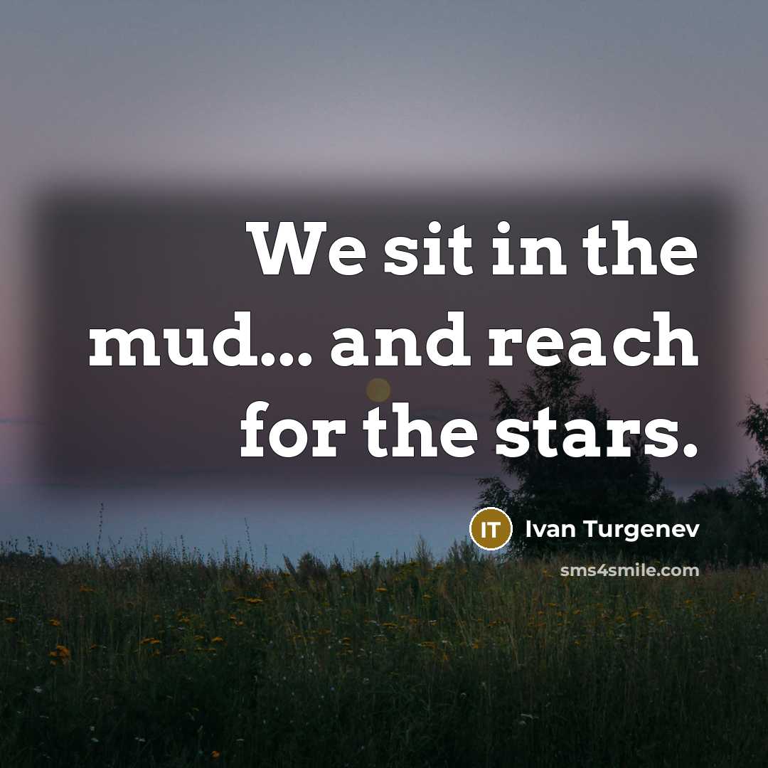 “We sit in the mud... and reach for the stars.…” quote by Ivan Turgenev