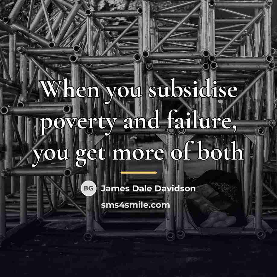 “When you subsidise poverty and failure, you get more of…” quote by James Dale Davidson