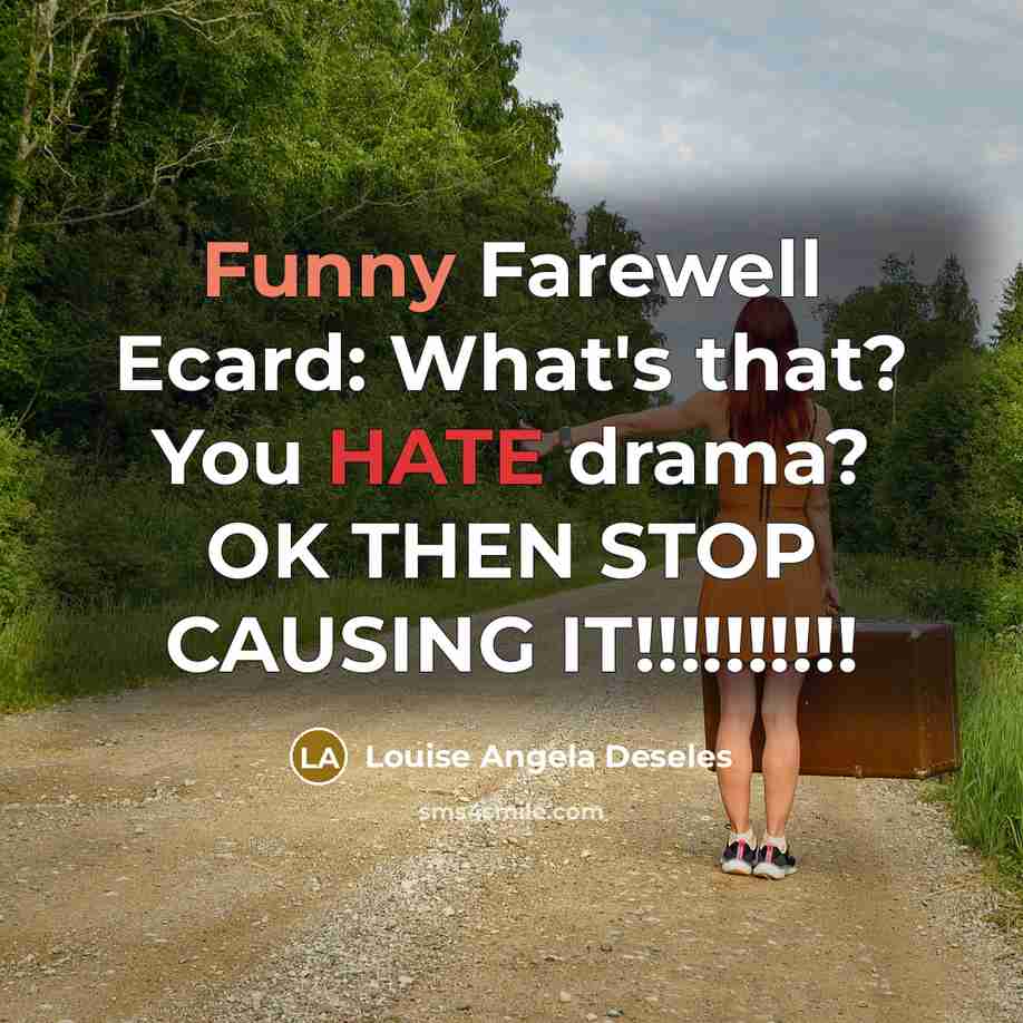 “Funny Farewell Ecard: What's that? You HATE drama? OK THEN…” quote by Louise Angela Deseles