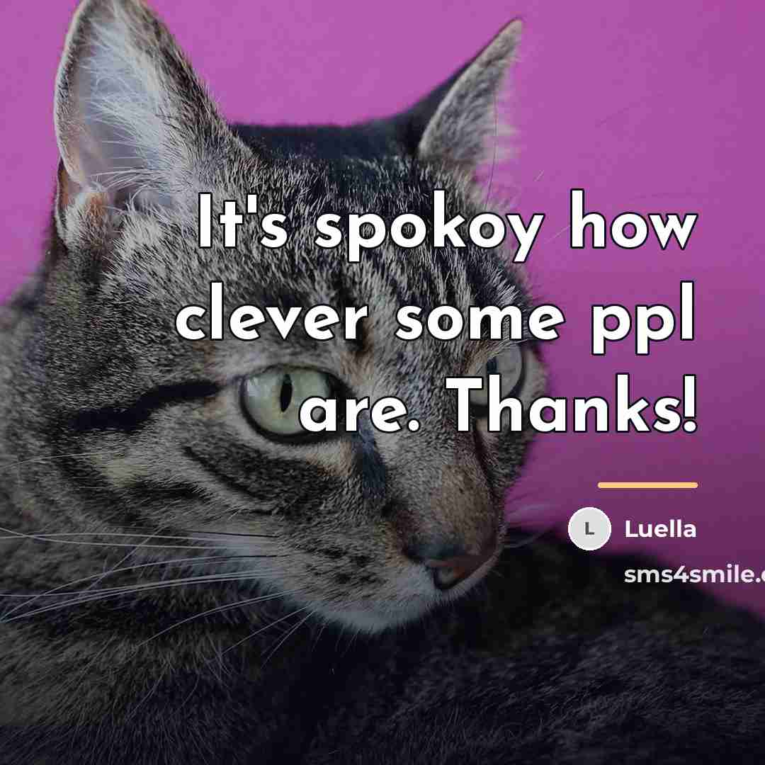 “It's spokoy how clever some ppl are. Thanks!…” quote by Luella