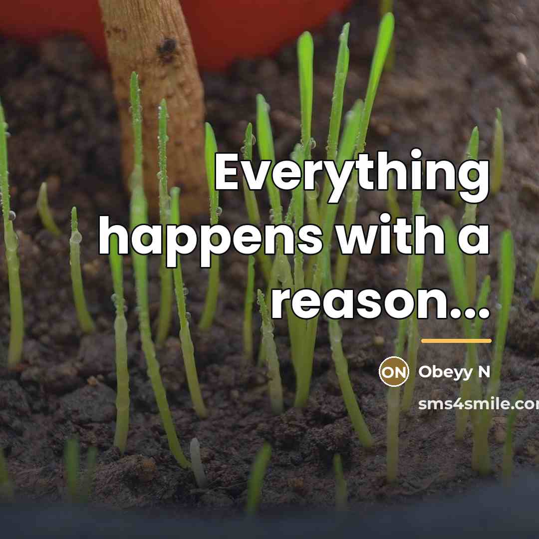 “Everything happens with a reason...…” quote by Obeyy N