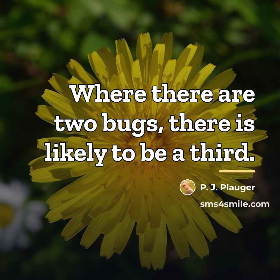 “Where there are two bugs, there is likely to be…” quote by P. J. Plauger