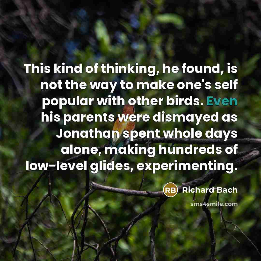 “This kind of thinking, he found, is not the way…” quote by Richard Bach