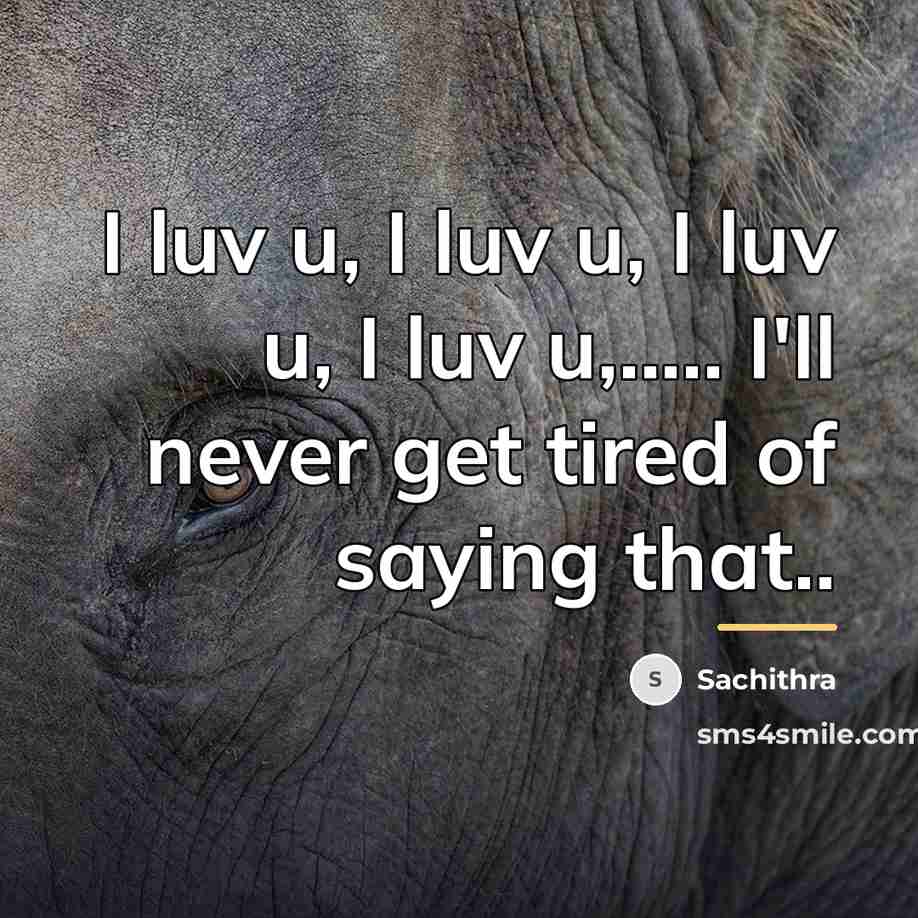 “I luv u, I luv u, I luv u, I…” quote by Sachithra