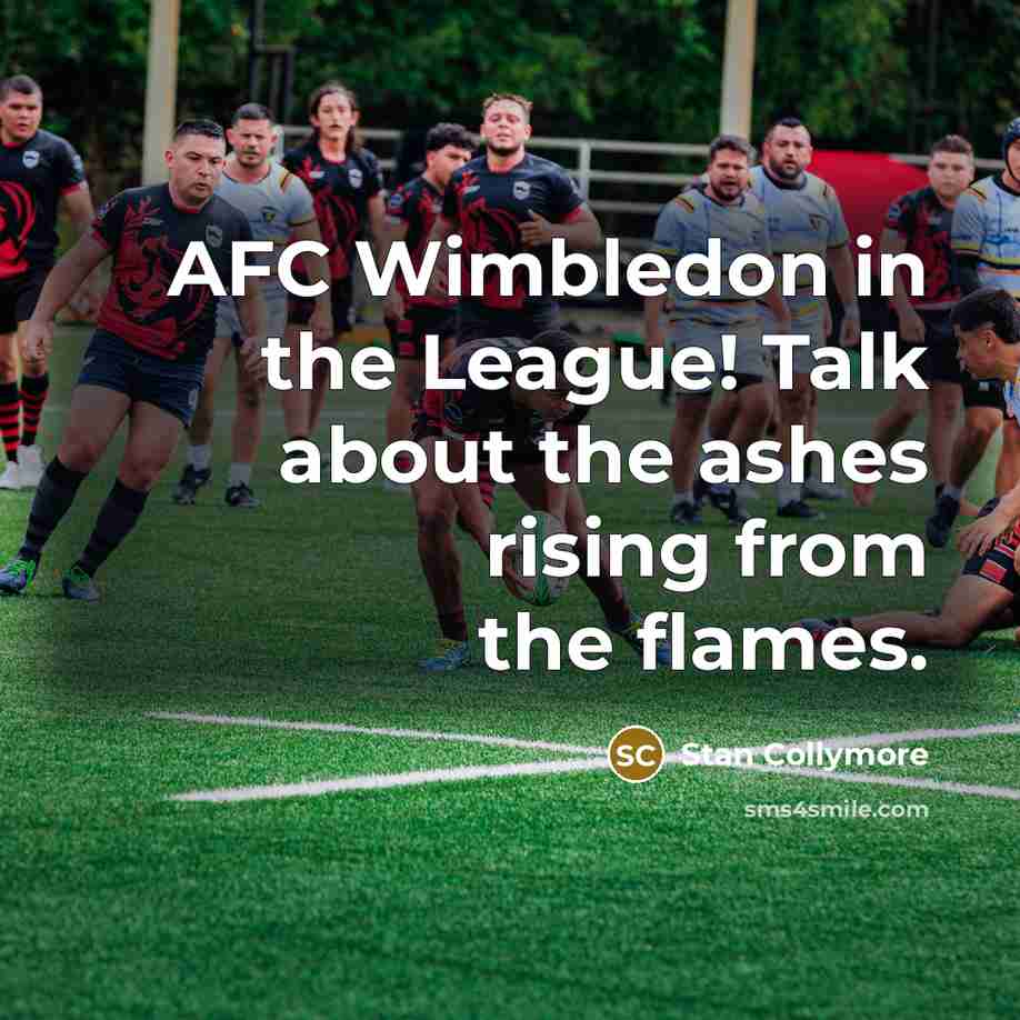 “AFC Wimbledon in the League! Talk about the ashes rising…” quote by Stan Collymore
