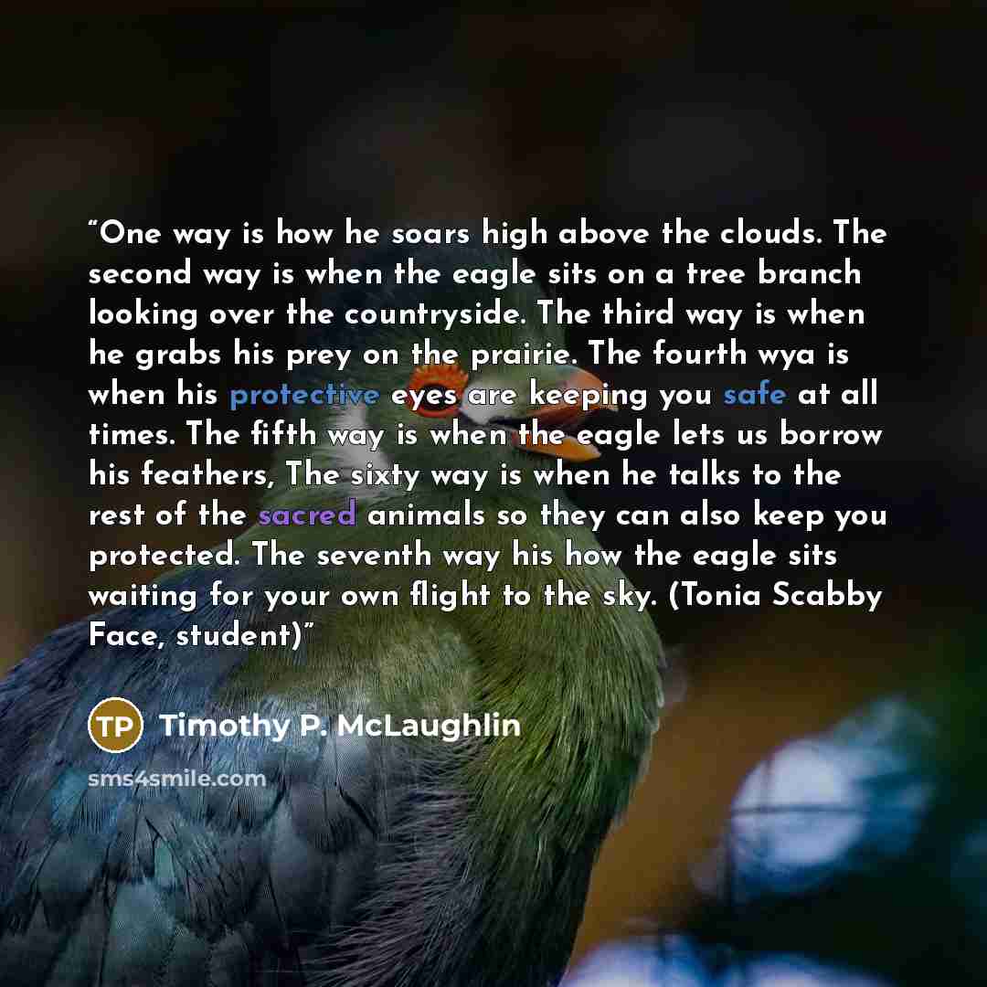 “One way is how he soars high above the clouds. The second way is when the eagle sits on a tree branch looking over the countryside. The third way is when he grabs his prey on the prairie. The fourth wya is when his protective eyes are keeping you safe at all times. The fifth way is when the eagle…” quote by Timothy P. McLaughlin