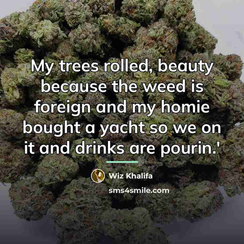 “My trees rolled, beauty because the weed is foreign and…” quote by Wiz Khalifa