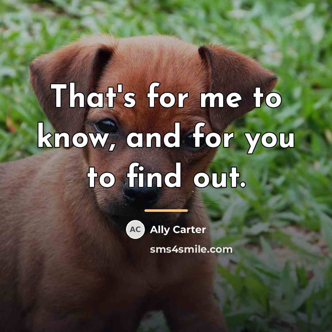 “That's for me to know, and for you to find…” quote by Ally Carter