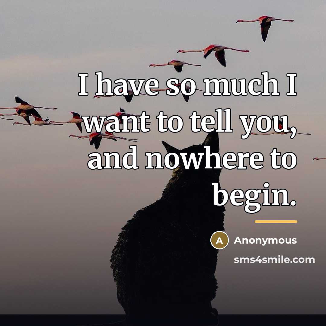 “I have so much I want to tell you, and…” quote by Anonymous