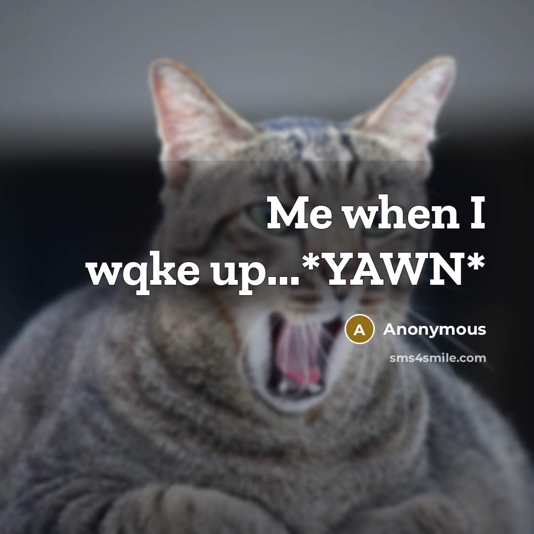 “Me when I wqke up...*YAWN*” quote by Anonymous