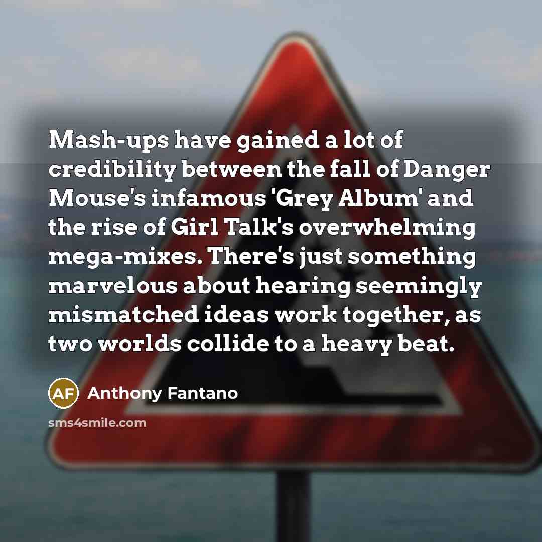 “Mash-ups have gained a lot of credibility between the fall…” quote by Anthony Fantano