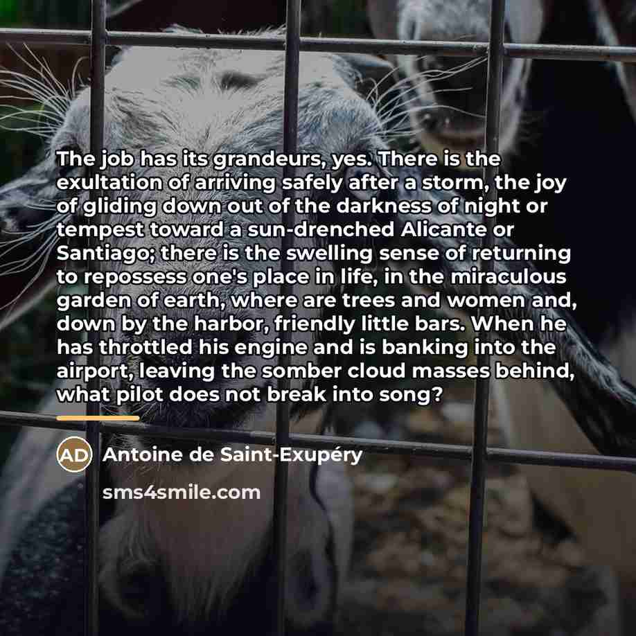 “The job has its grandeurs, yes. There is the exultation…” quote by Antoine de Saint-Exupery