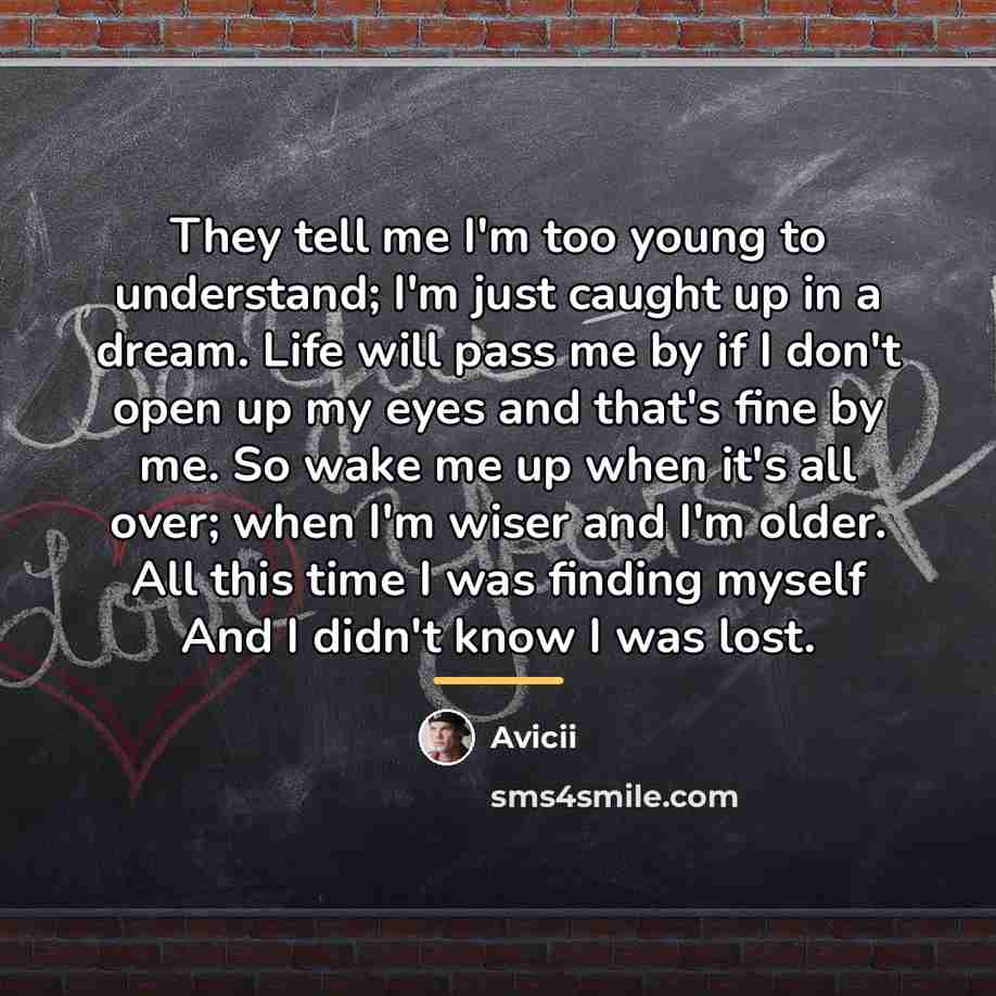 “They tell me I'm too young to understand; I'm just…” quote by Avicii