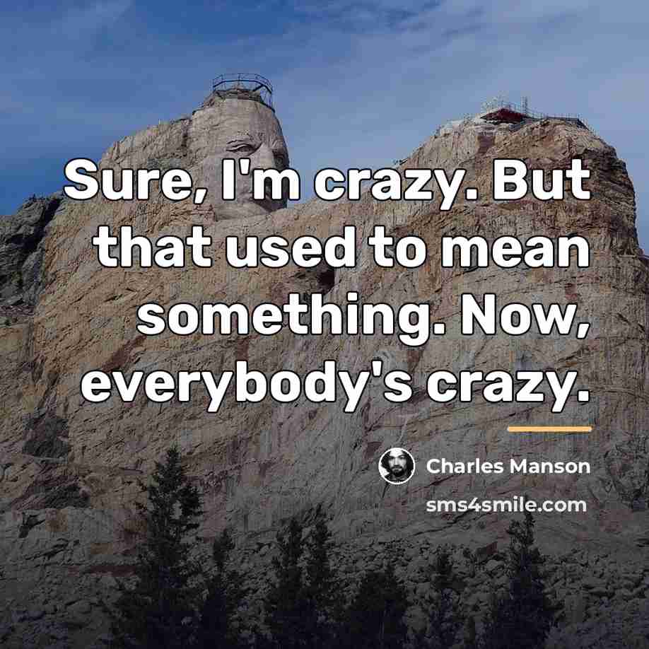 “Sure, I'm crazy. But that used to mean something. Now,…” quote by Charles Manson