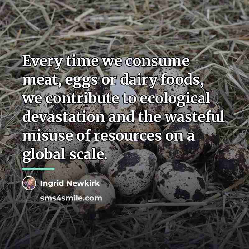 “Every time we consume meat, eggs or dairy foods, we…” quote by Ingrid Newkirk