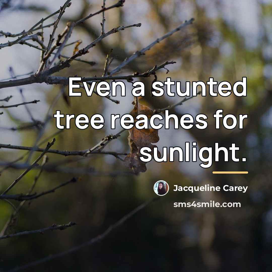 “Even a stunted tree reaches for sunlight.…” quote by Jacqueline Carey