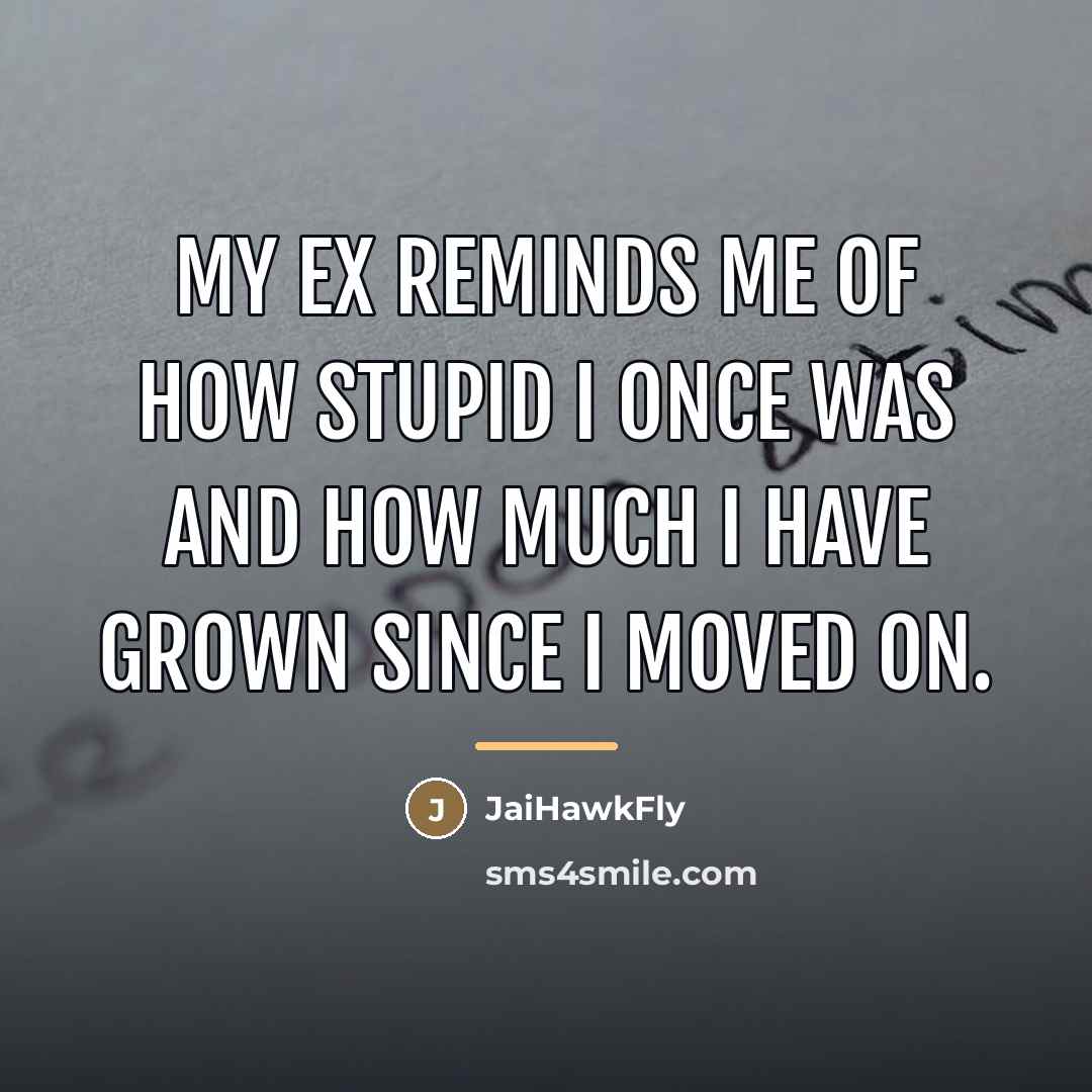 “My ex reminds me of how stupid I once was…” quote by JaiHawkFly