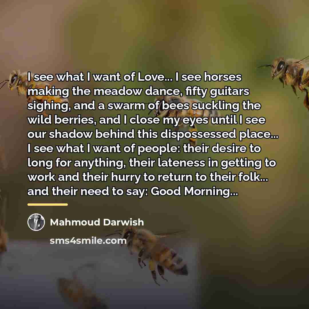 “I see what I want of Love... I see horses…” quote by Mahmoud Darwish