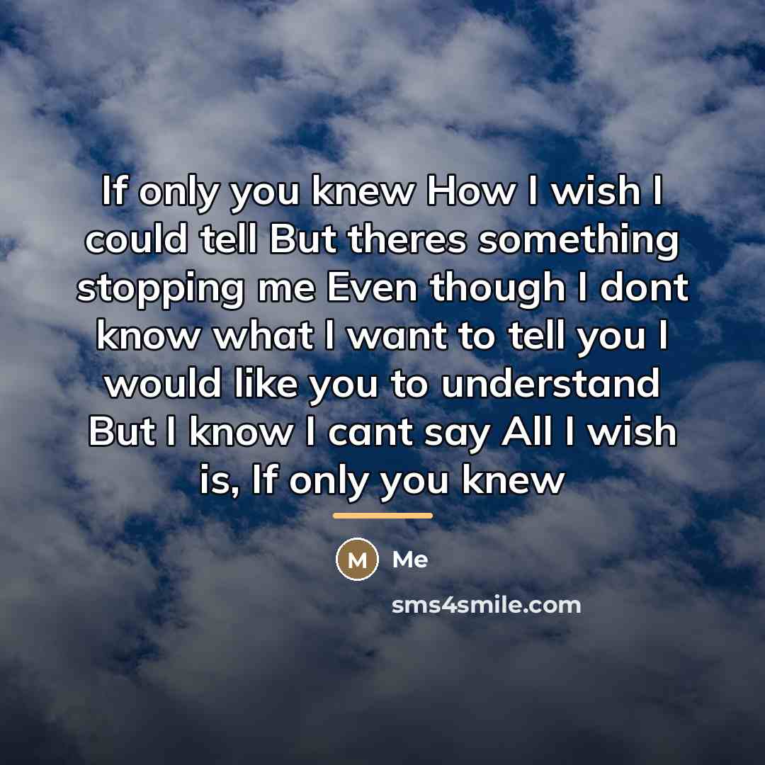 “If only you knew How I wish I could tell…” quote by Me