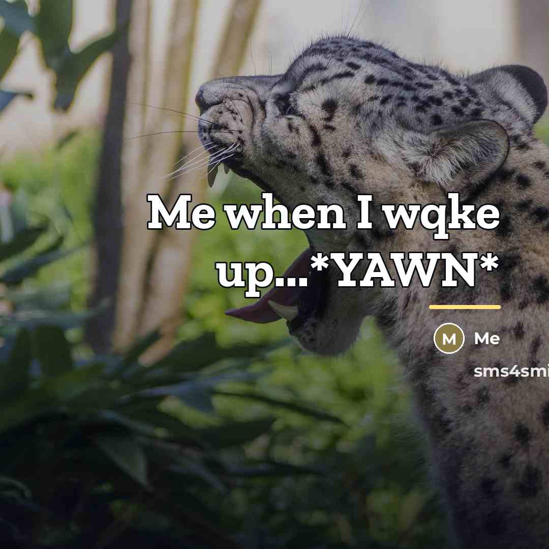 “Me when I wqke up...*YAWN*…” quote by Me