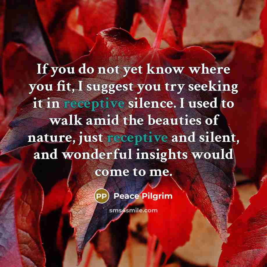 “If you do not yet know where you fit, I…” quote by Peace Pilgrim
