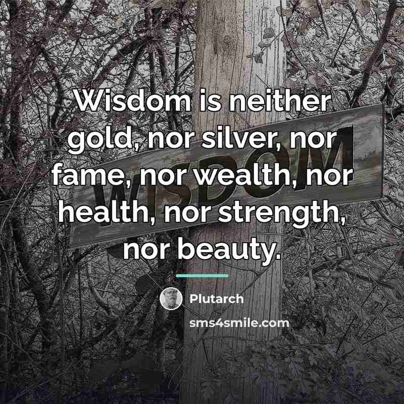“Wisdom is neither gold, nor silver, nor fame, nor wealth,…” quote by Plutarch