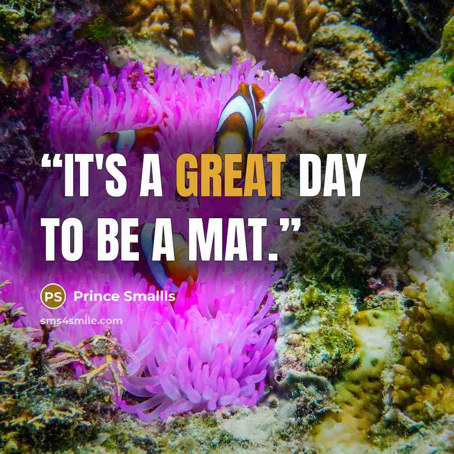“It's a great day to be a mat.” quote by Prince Smallls