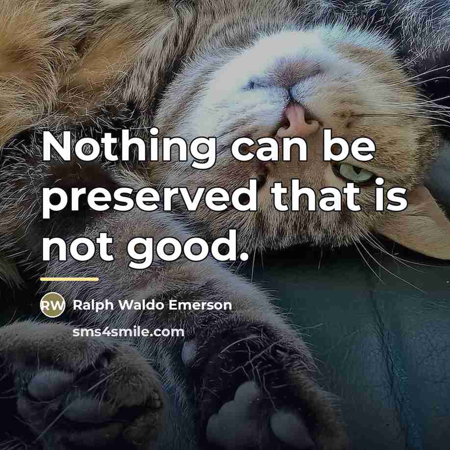 “Nothing can be preserved that is not good.…” quote by Ralph Waldo Emerson