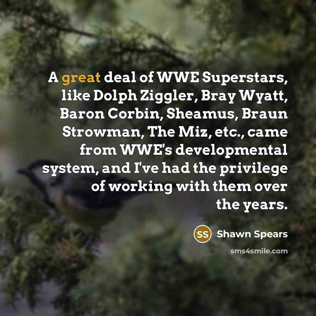 “A great deal of WWE Superstars, like Dolph Ziggler, Bray…” quote by Shawn Spears