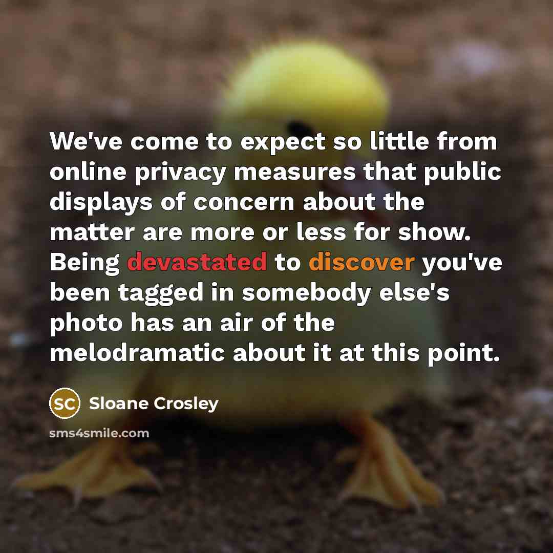 “We've come to expect so little from online privacy measures…” quote by Sloane Crosley