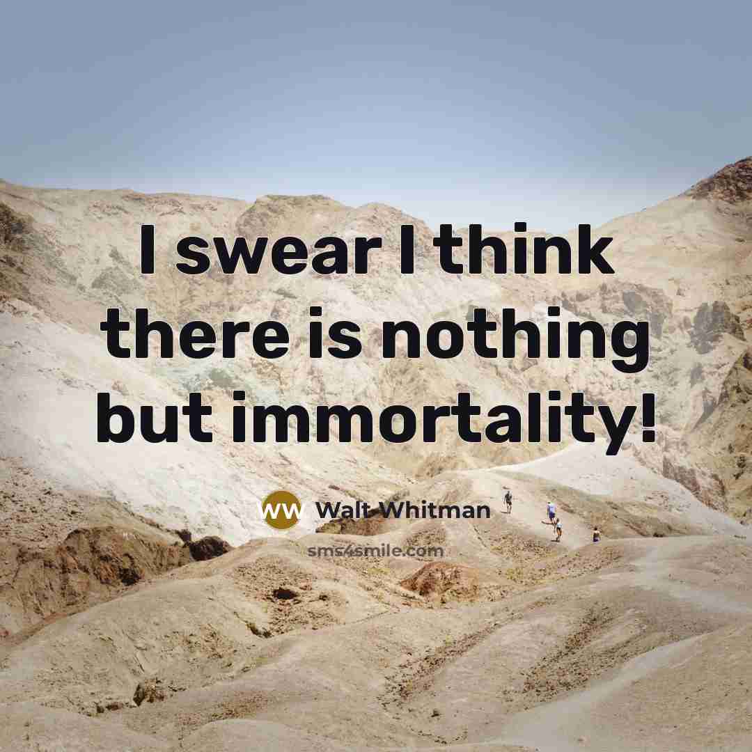 “I swear I think there is nothing but immortality!…” quote by Walt Whitman