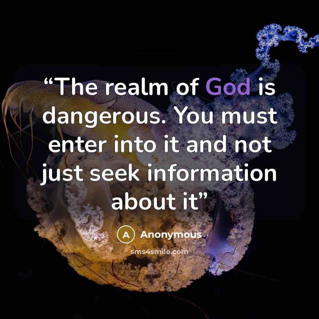 “The realm of God is dangerous. You must enter into it and not just seek information about it” quote by Anonymous