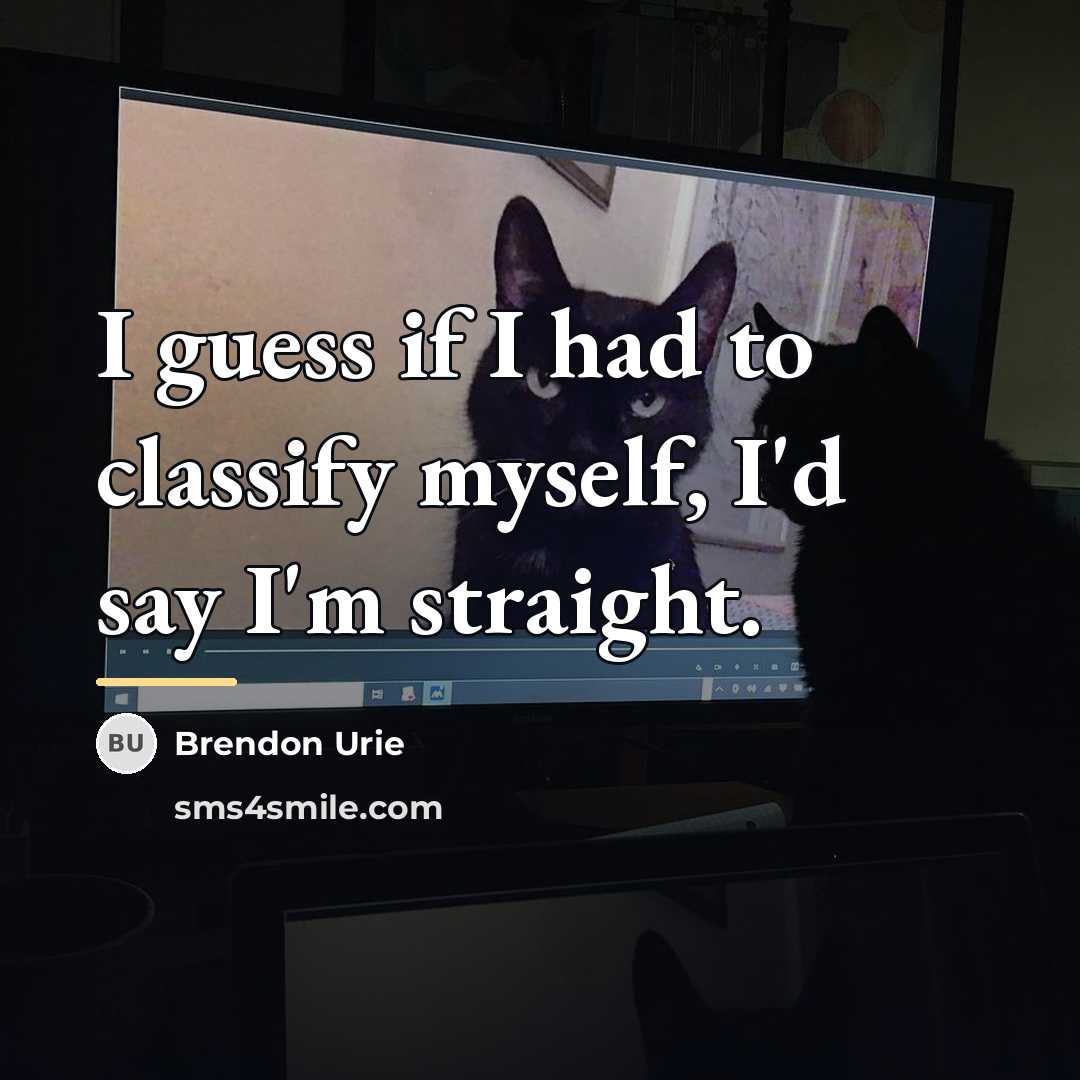 “I guess if I had to classify myself, I'd say…” quote by Brendon Urie