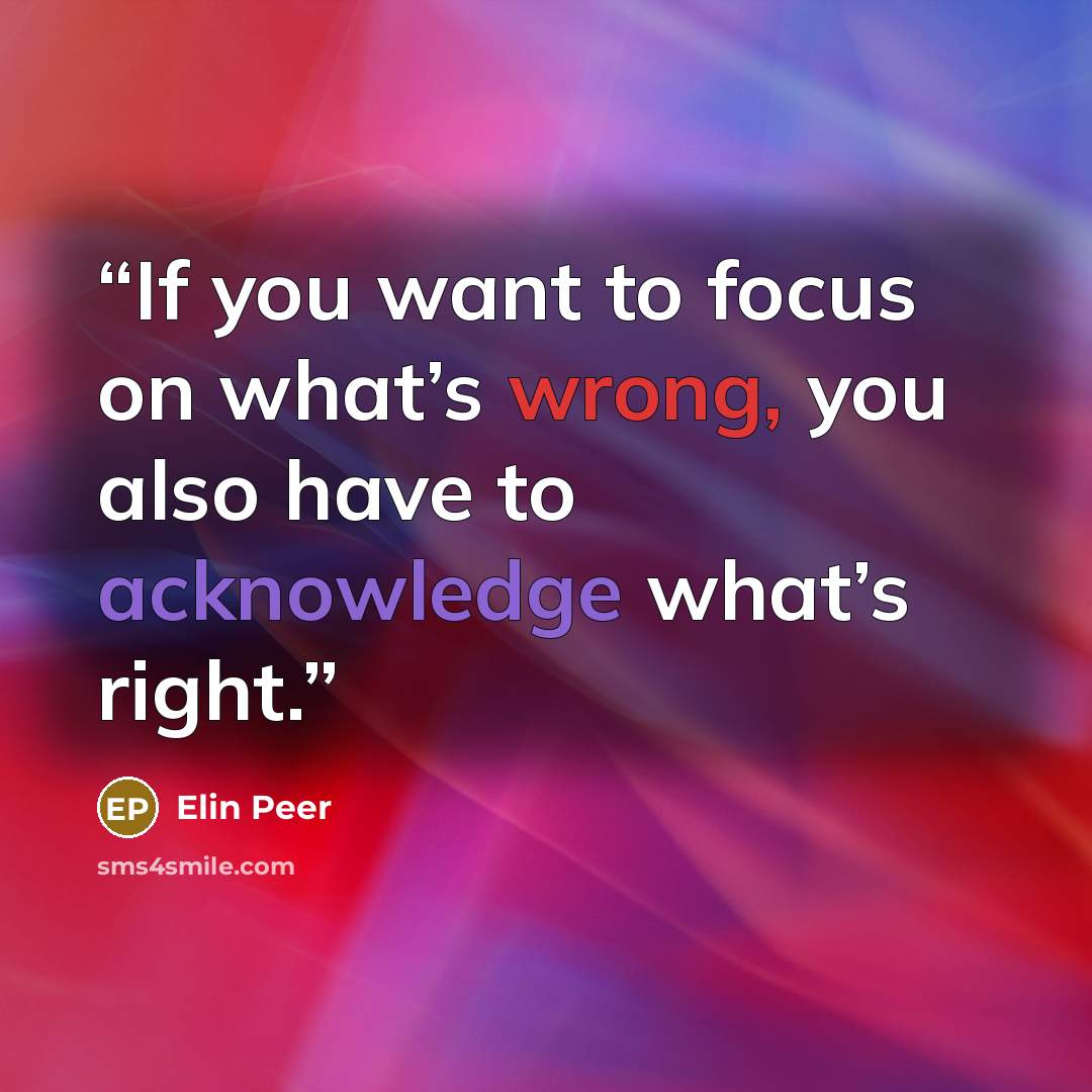 “If you want to focus on what’s wrong, you also have to acknowledge what’s right.” quote by Elin Peer