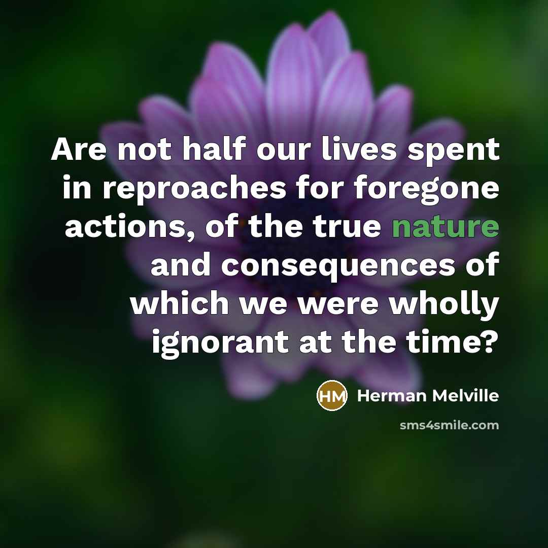 “Are not half our lives spent in reproaches for foregone…” quote by Herman Melville